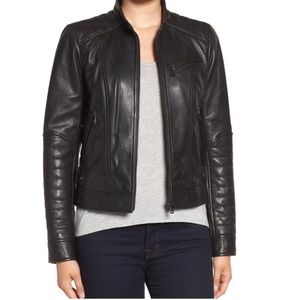 Bernardo Quilted Leather Moto Jacket, Medium